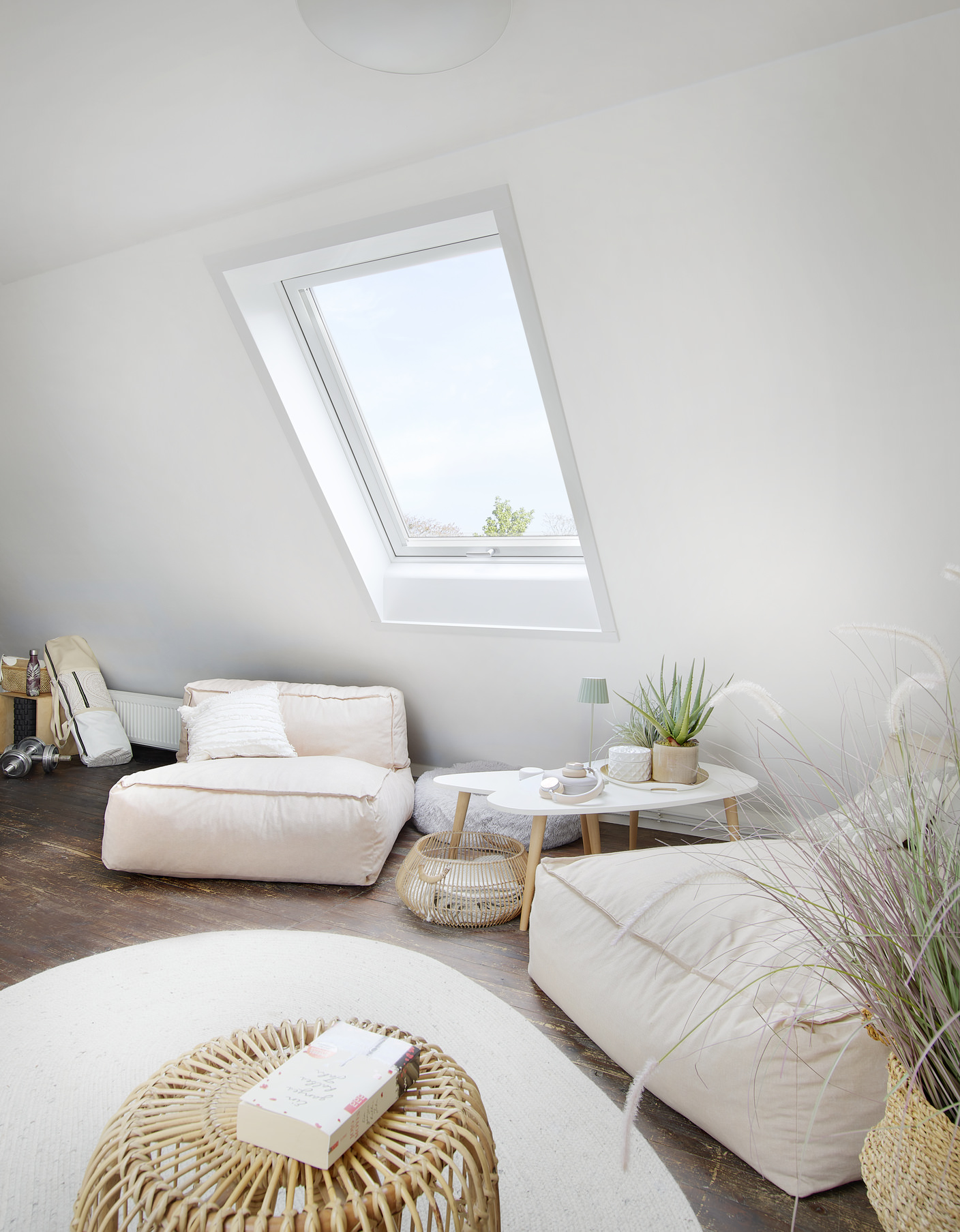 Fenster, Pflanze, Drinnen, Wohnzimmer, Zimmer, Fenster, Pflanze, Drinnen, Wohnzimmer, Zimmer, Fenster, Pflanze, Drinnen, Wohnzimmer, Zimmer, Fenster, Pflanze, Drinnen, Wohnzimmer, Zimmer