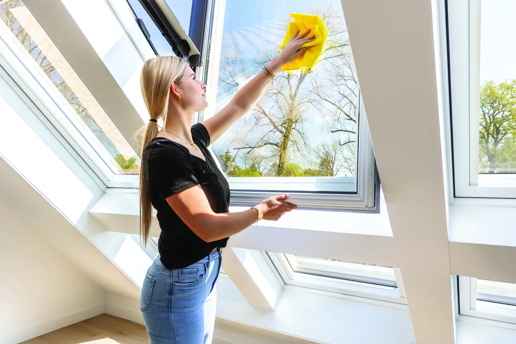 Fenster, Reinigen, Person, Innenarchitektur, Fensterbank, Fenster, Reinigen, Person, Innenarchitektur, Fensterbank, Fenster, Reinigen, Person, Innenarchitektur, Fensterbank, Fenster, Reinigen, Person, Innenarchitektur, Fensterbank